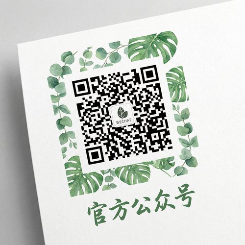 麻豆传媒公众号二维码